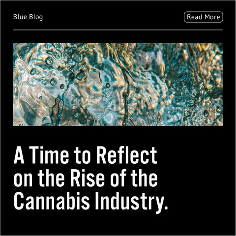 A time to reflect on the rise of the cannabis industry (plus our top picks to commemorate the special day)